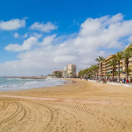 Alegria Id 37 * Torrevieja